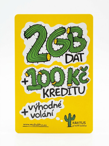 Scheda sim cactus - scheda,